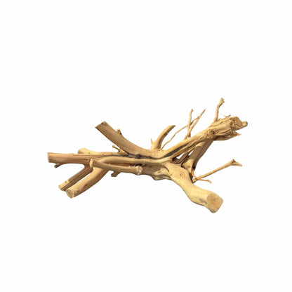 WYSIWYG 10 - Two Tone Trunk Wood 47x36x23cm