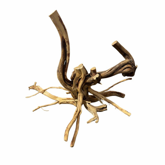 WYSIWYG 2 - Two Tone Trunk Wood 37x30x24cm