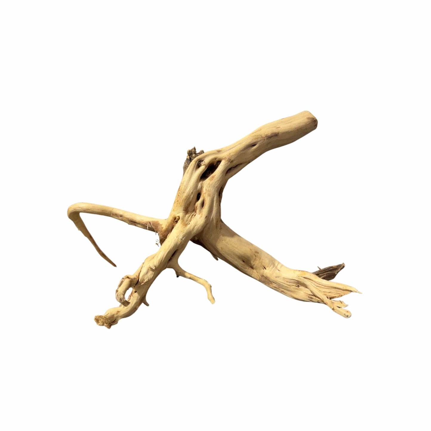 WYSIWYG 3 - Two Tone Trunk Wood 34x30cm