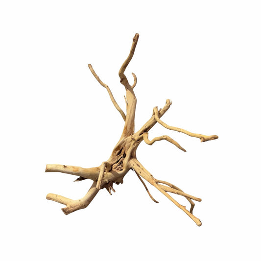 WYSIWYG 5 - Two Tone Trunk Wood 42x43x27cm