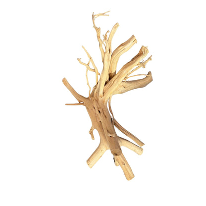 WYSIWYG 10 - Two Tone Trunk Wood 47x36x23cm