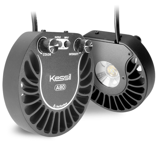 A80 Tuna Blue- Kessil