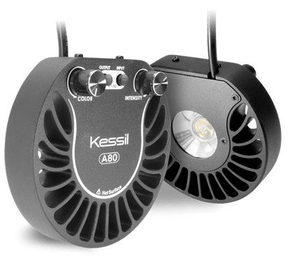 A80 Tuna Blue- Kessil