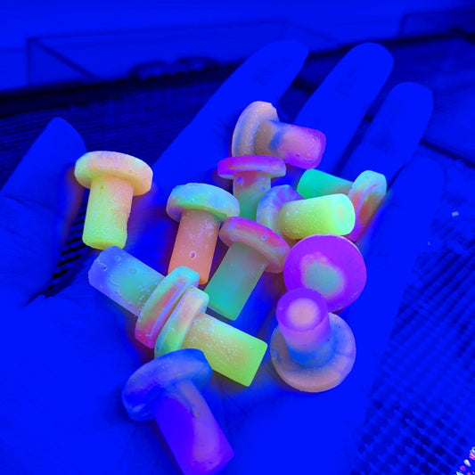 Feral Frag Plugs - 12 Pack