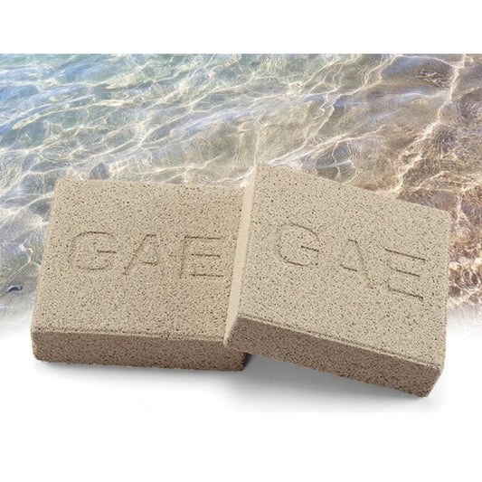 GAE Bio Bacteria Brick