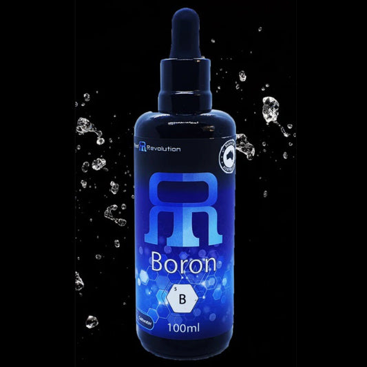 Boron - Reef Revolution