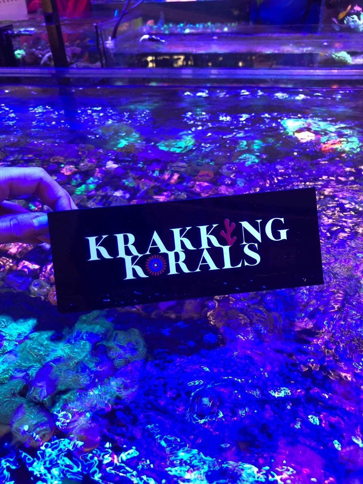 Coral Phone Viewer - Krakking Korals