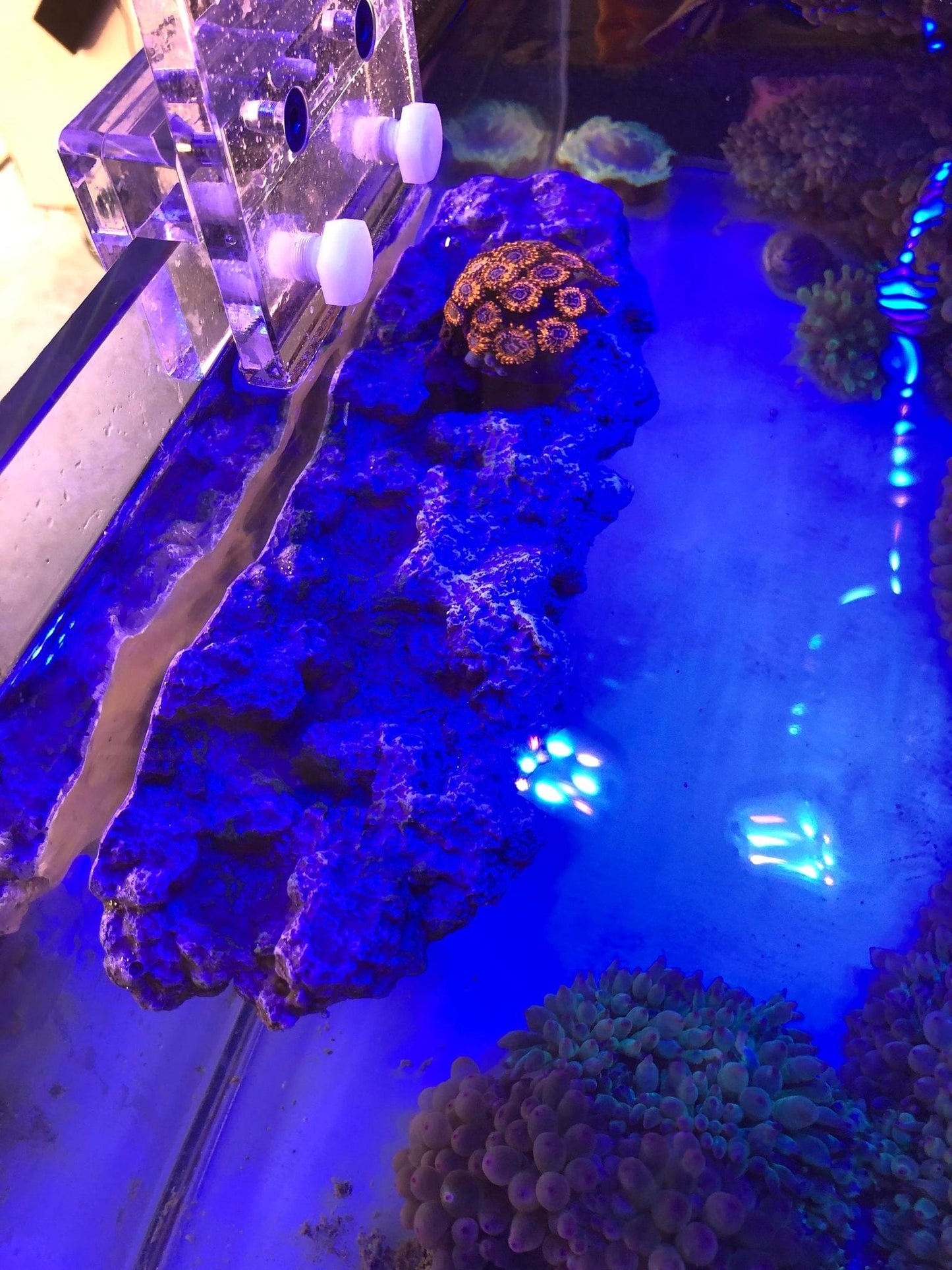 Floating Aquascape - Magnetic