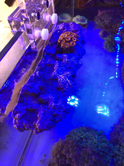 Floating Aquascape - Magnetic