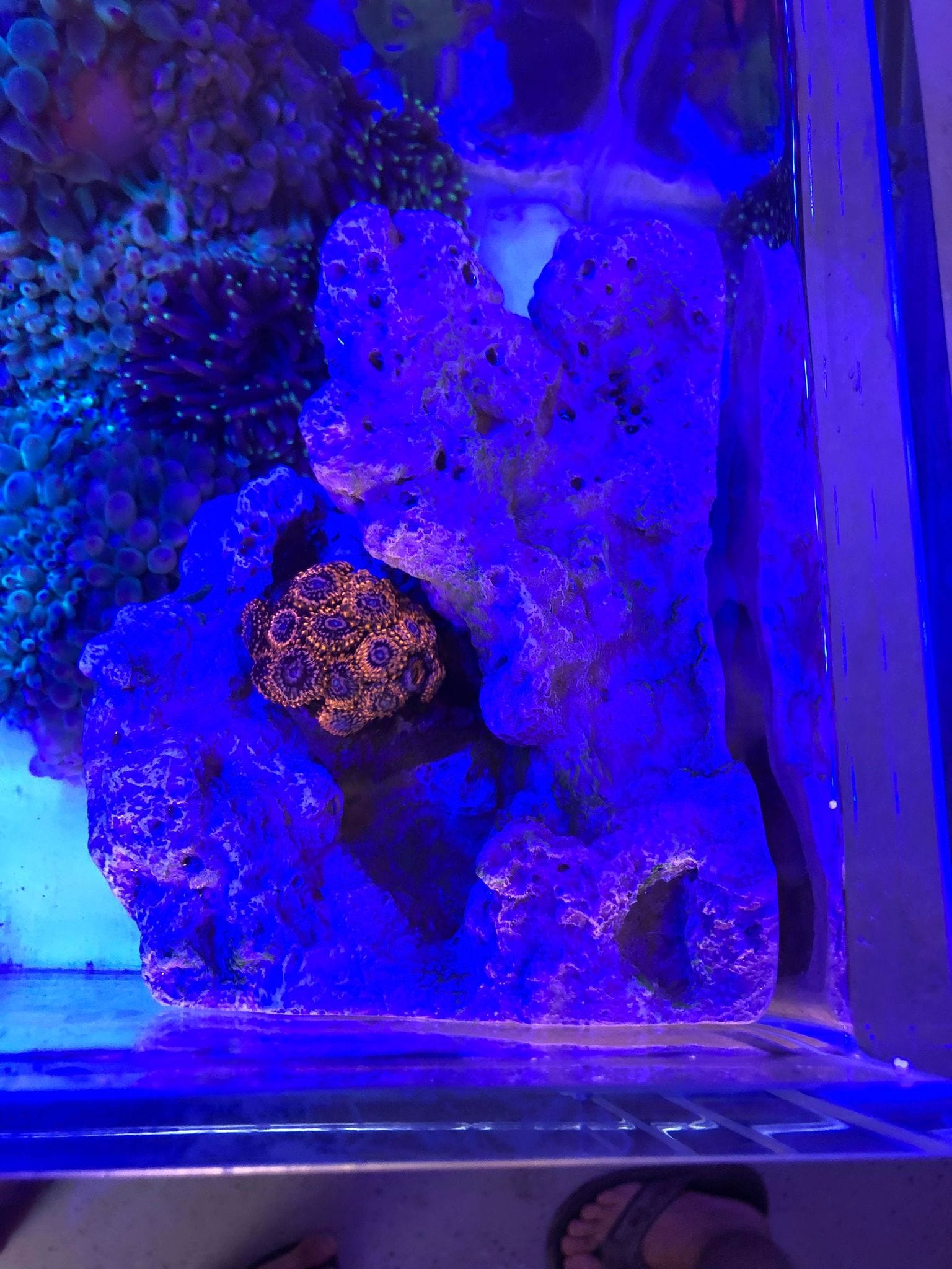 Floating Aquascape - Magnetic