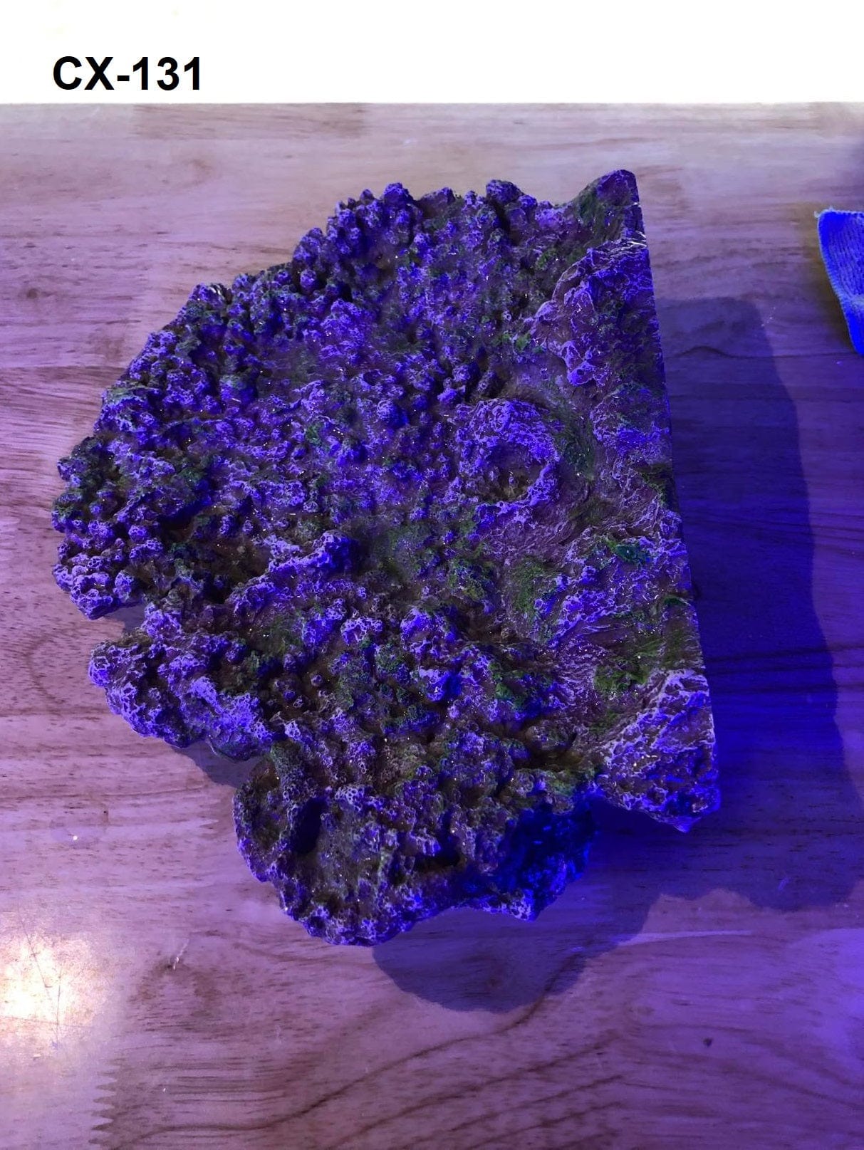 Floating Aquascape - Magnetic