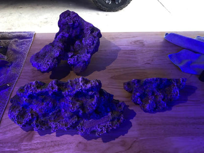 Floating Aquascape - Magnetic