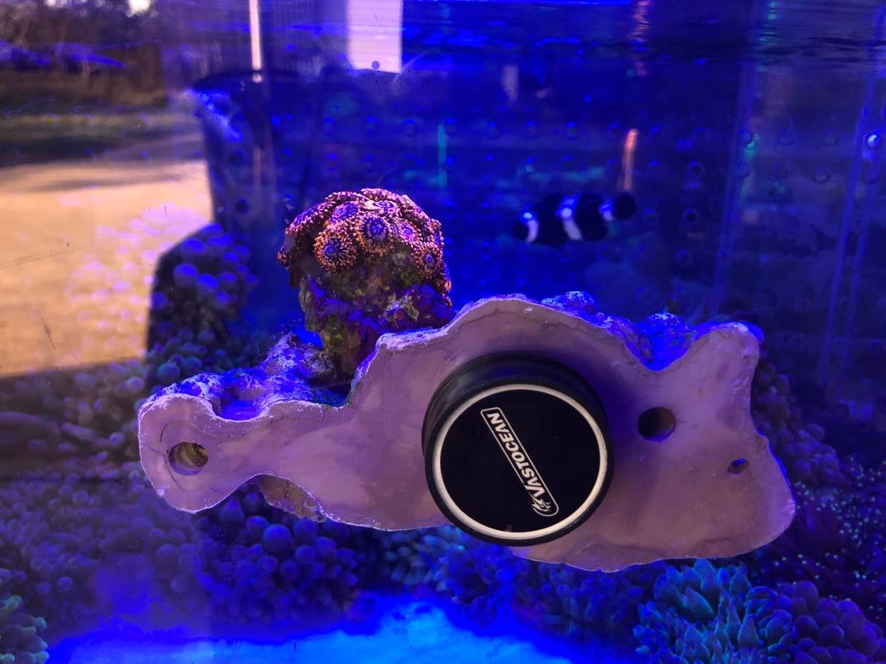 Floating Aquascape - Magnetic