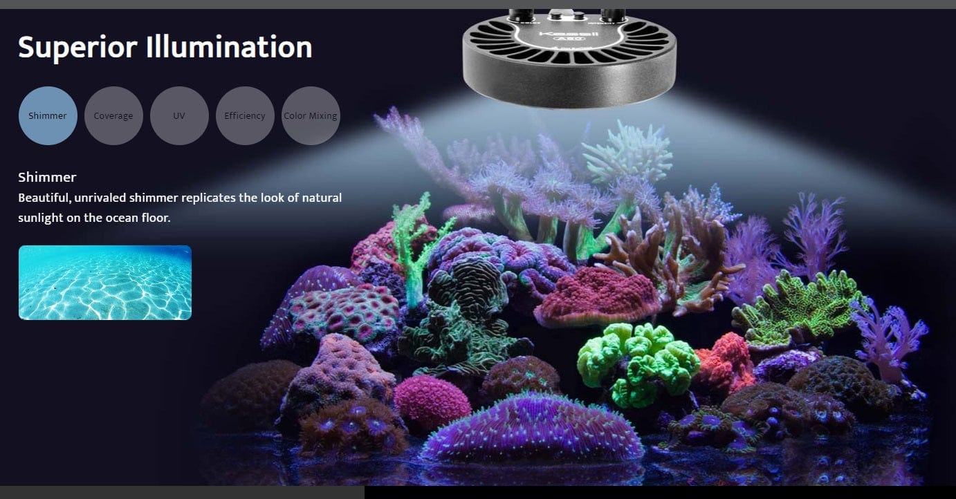 A80 Tuna Blue- Kessil