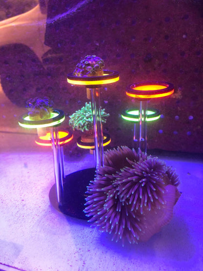 Frag Stands Acrylic