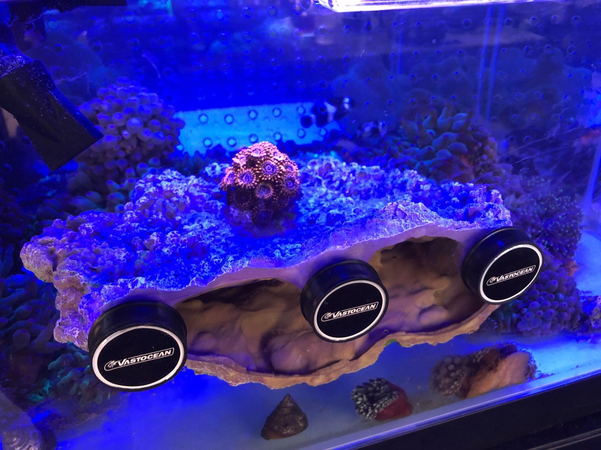 Floating Aquascape - Magnetic