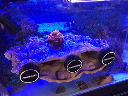 Floating Aquascape - Magnetic