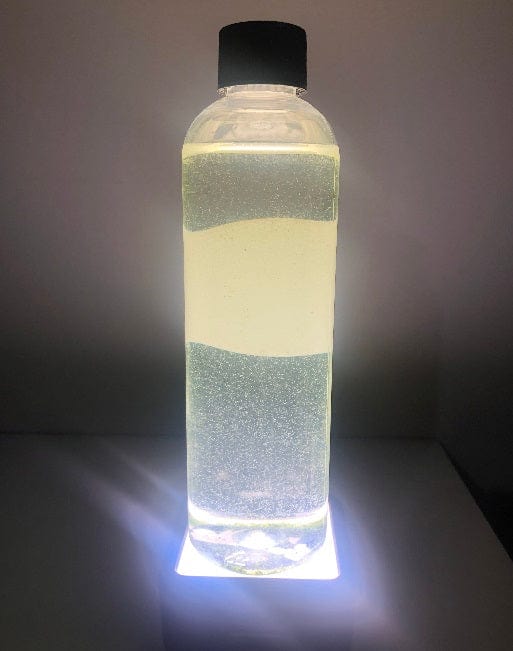 Rotifers